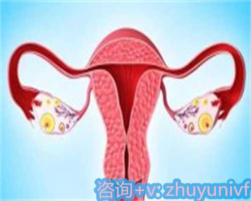 2026年潍坊供卵试管婴儿医院排名及推荐指南