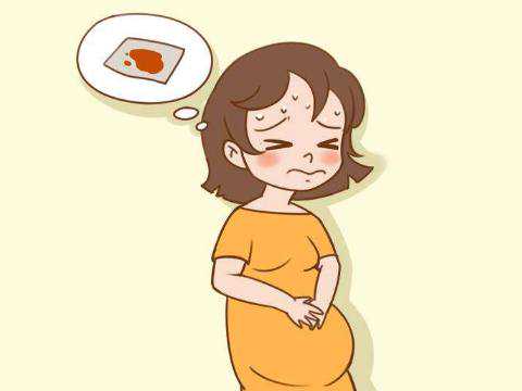 浙江试管助孕服务:为不孕不育家庭开启生育新篇章