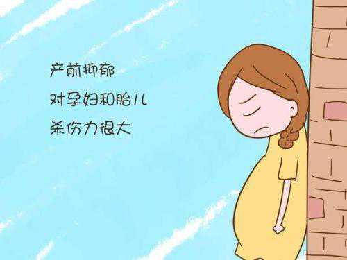 嘉兴公立医院做一次试管婴儿费用大约多少?