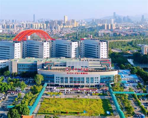 浙江失独家庭供卵试管助孕解决生育障碍的全面指南