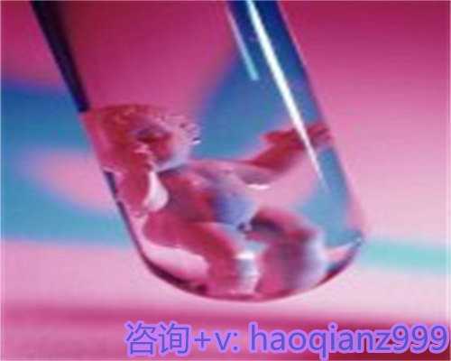 浙江高薪招聘代孕领袖风采,为您创造价值与安全